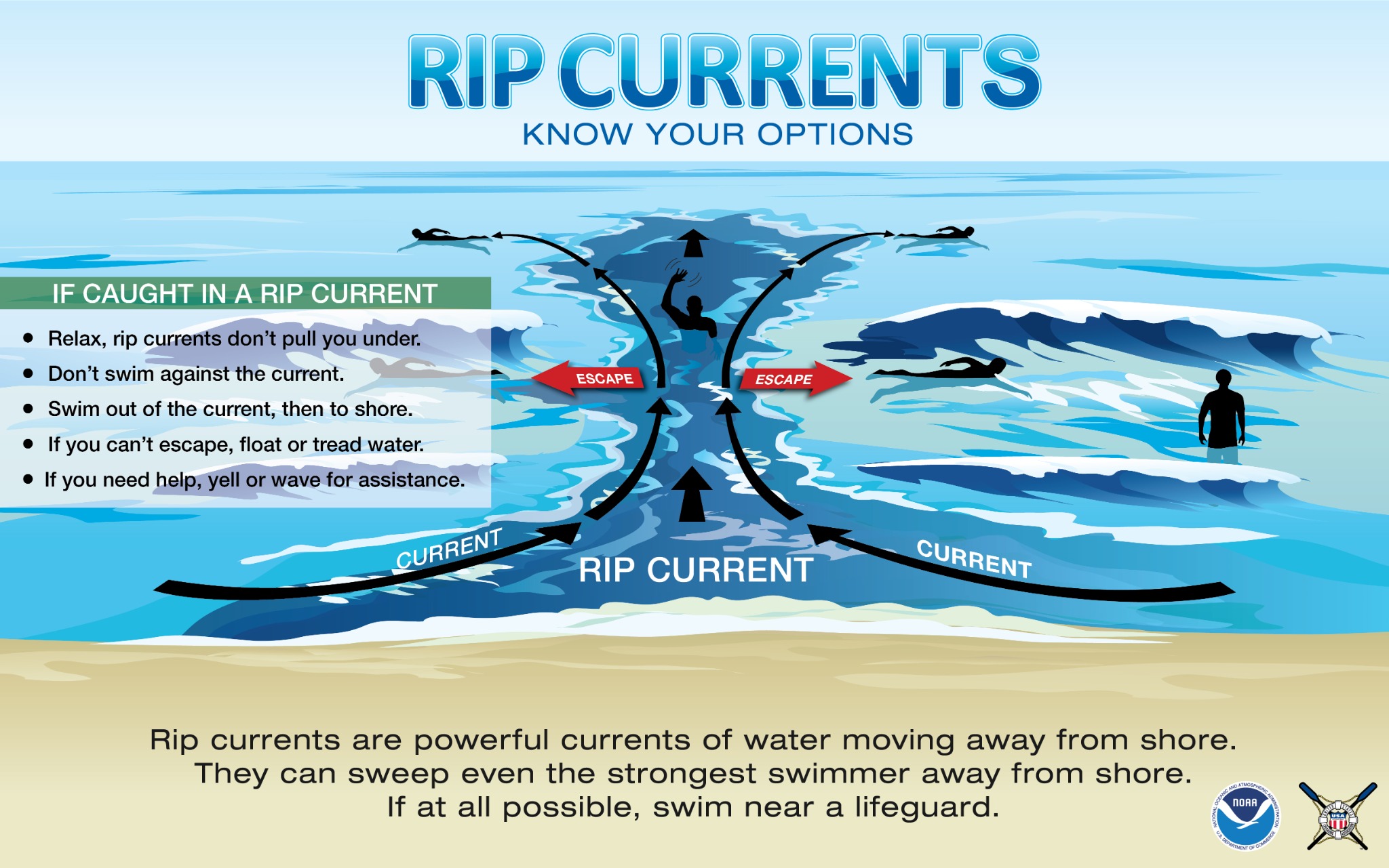 Rip currents: know your options