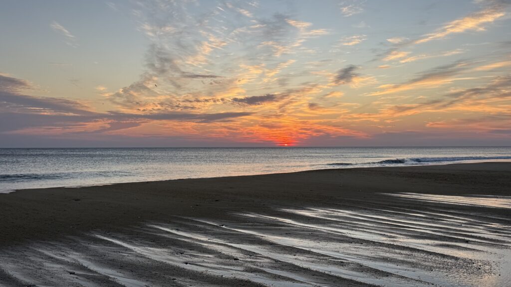 IMG_8130